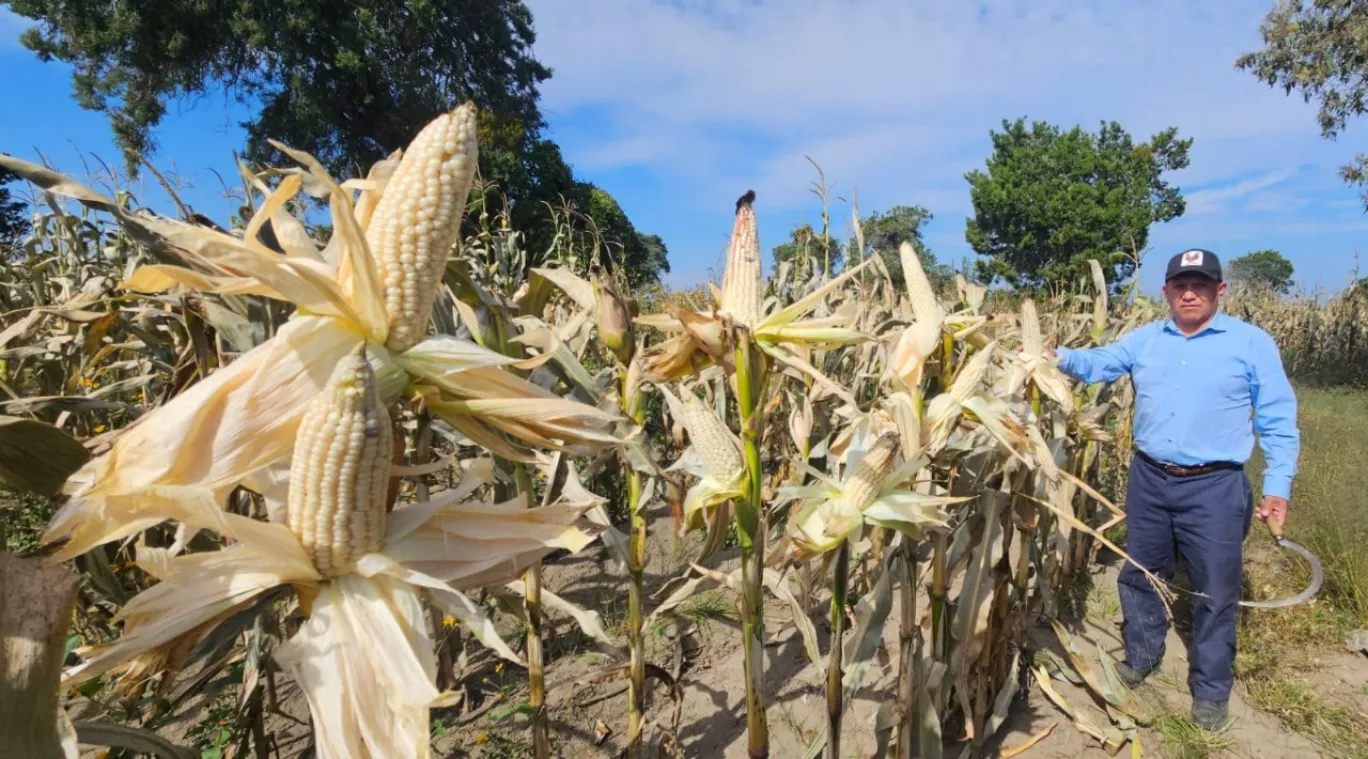Granjas Carroll implementa sistema de agricultura compartida con pequeños productores de comunidades vecinas