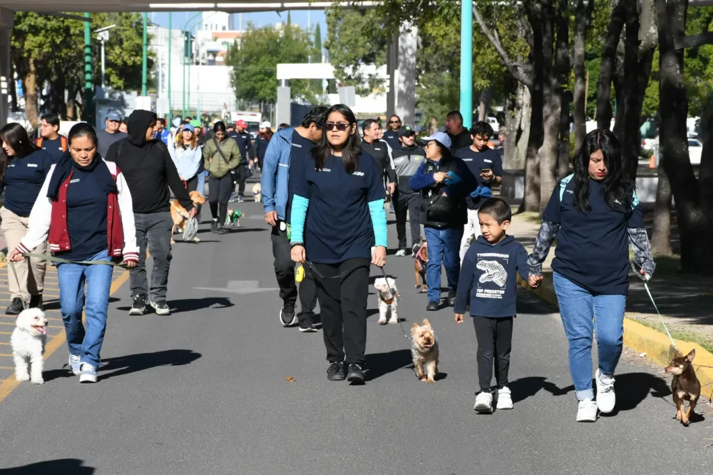 CAETO, un modelo de atención emocional para los jóvenes, celebra segundo aniversario
