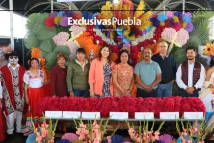 En temporada de flor de cempasúchil fortalecen a productores