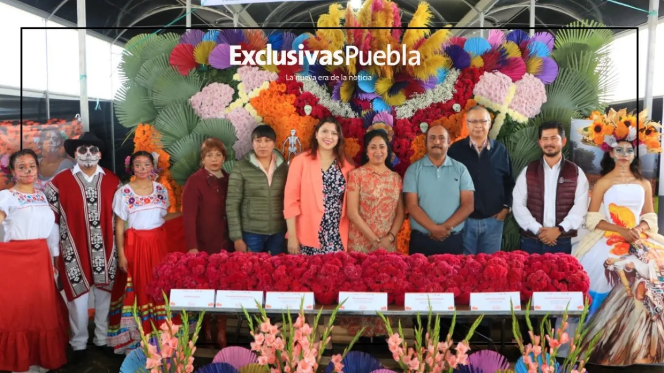 En temporada de flor de cempasúchil fortalecen a productores
