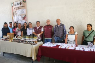 Fortalecen economía de grupos indígenas