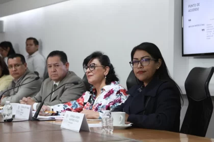 Avalan en Comisión que municipios cumplan con Ley de Imagen Institucional