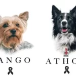 Corte avala pena mayor al asesino de Athos y Tango