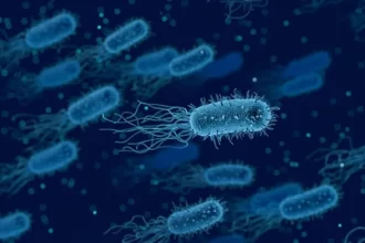 Autoridades emiten alerta epidemiológica por brote de bacteria Klebsiella