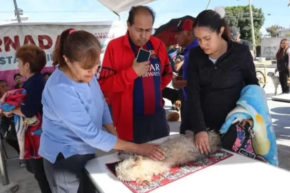 Gobierno de la Ciudad lleva Jornada de Bienestar Animal a Colonia Minerales del Sur