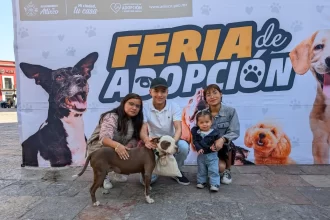 Ariadna Ayala impulsa adopción de lomitos rescatados en Atlixco