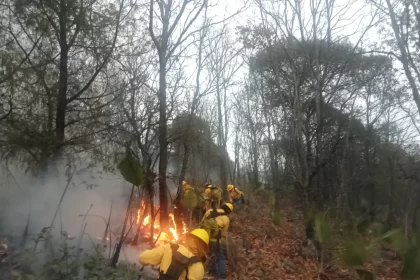 Reforestación, Prevención y combate de incendios, acciones de la Guardia Forestal de Puebla