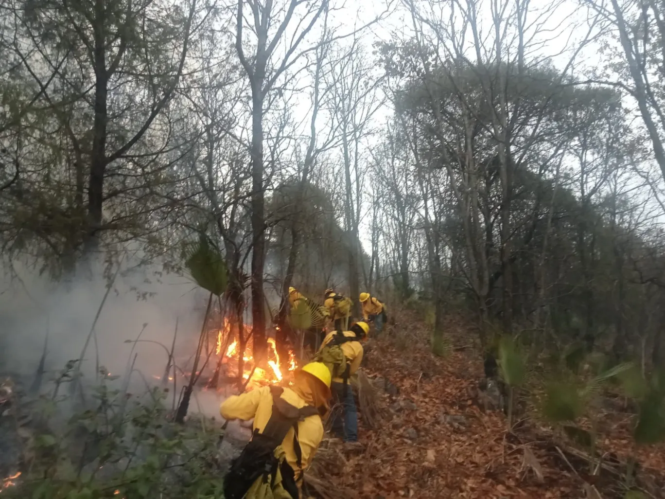 Reforestación, Prevención y combate de incendios, acciones de la Guardia Forestal de Puebla