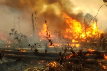 En los últimos 74 días, Puebla registra 31 incendios forestales