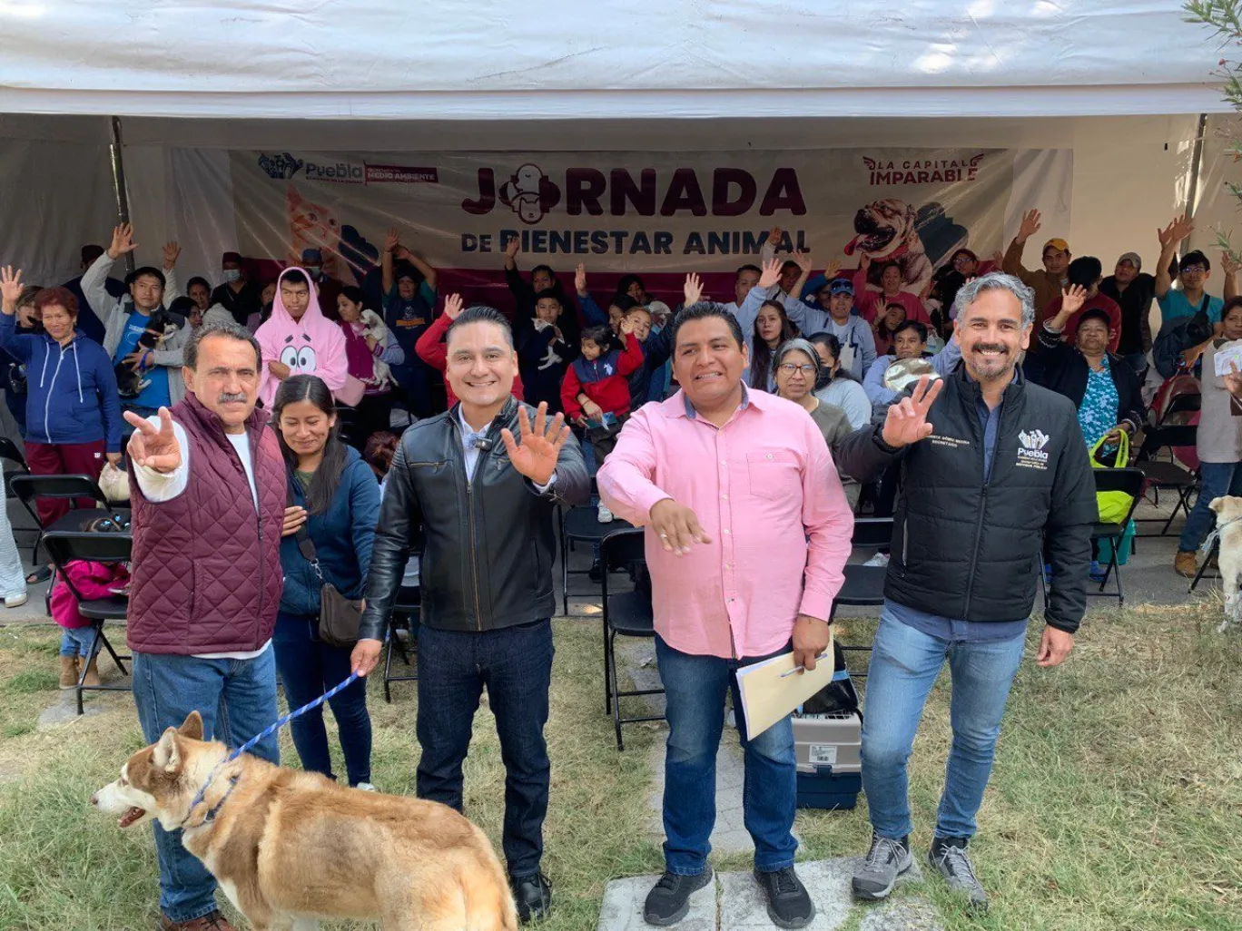 Gobierno de la Ciudad realizó con éxito jornadas de protección animal en diferentes puntos