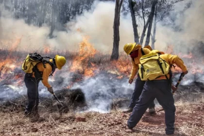 Incendios en Puebla arrasaron 30 mil hectáreas y dejaron cinco muertos en 2024