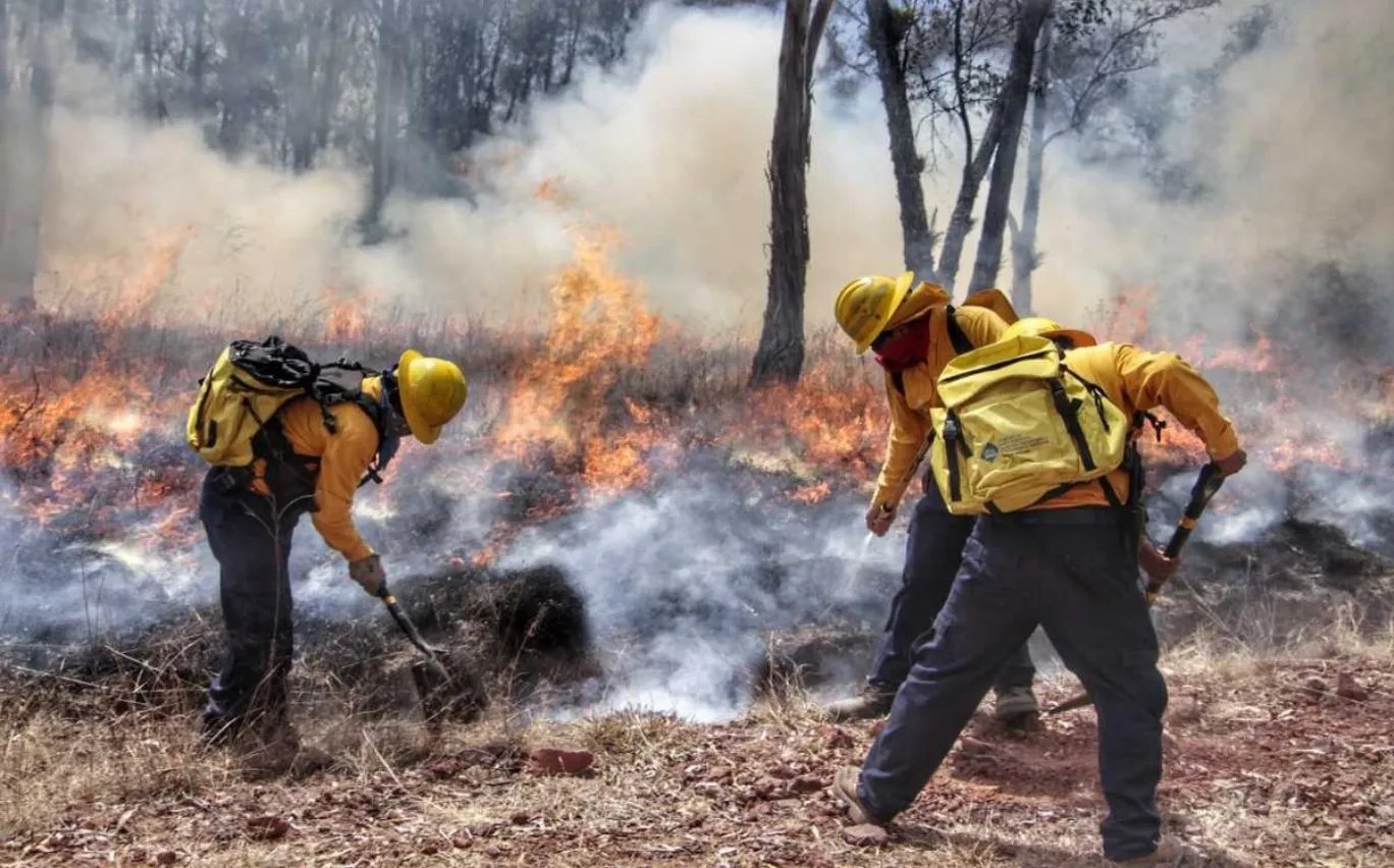 Incendios en Puebla arrasaron 30 mil hectáreas y dejaron cinco muertos en 2024