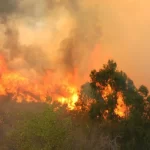 Puebla registra 143 incendios en 2025; PC