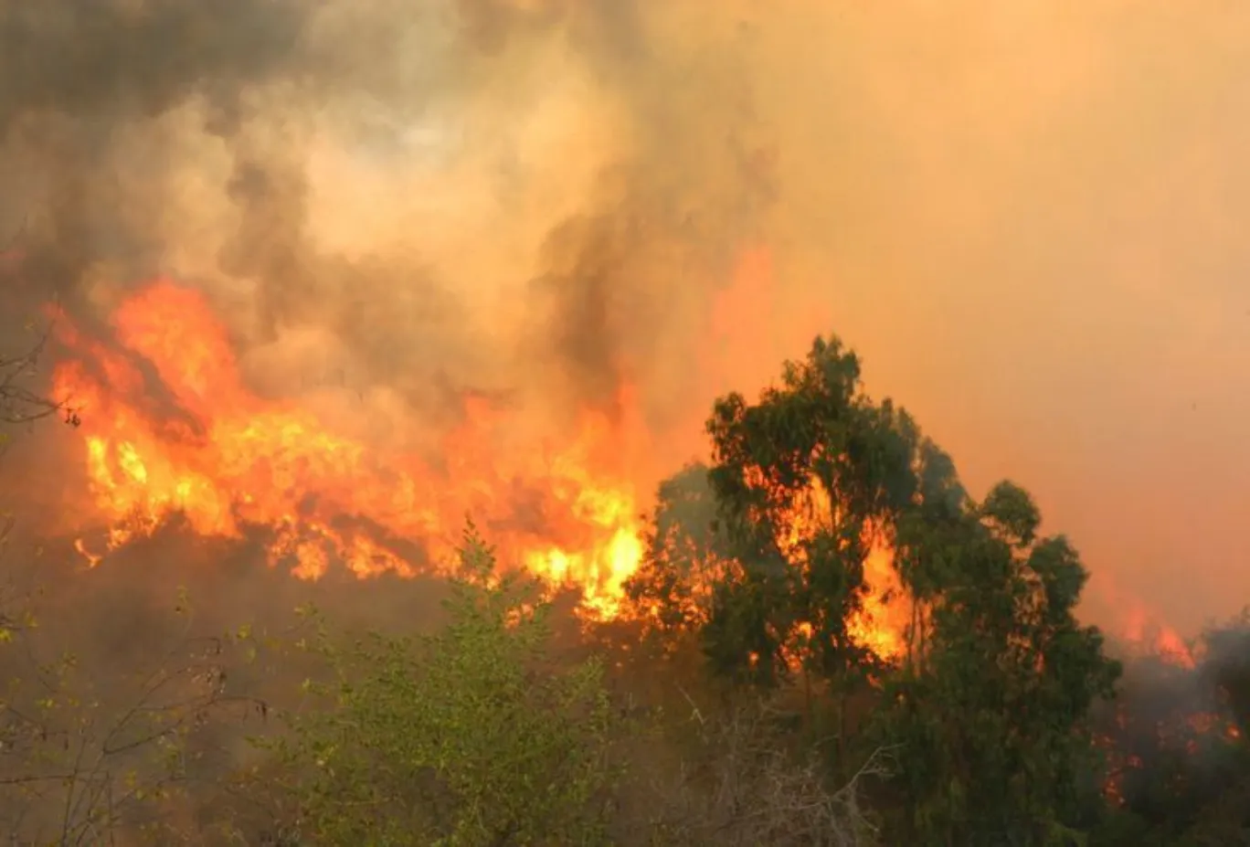 Puebla registra 143 incendios en 2025; PC