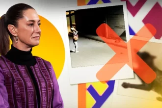 Claudia Sheinbaum va por ley secundaria para proteger a los animales