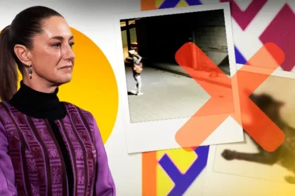 Claudia Sheinbaum va por ley secundaria para proteger a los animales