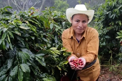 ¡Precio del café se dispara y beneficia a los poblanos!