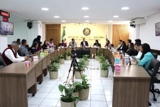 09 de marzo, fecha límite para registrarse como observador(a) en las elecciones locales extraordinarias
