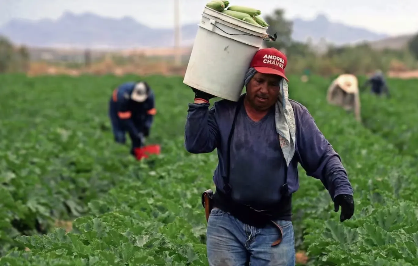 Alertan sobre posible fraude a productores en la región de Texmelucan