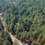 Alpinista de 62 años es rescatado tras extraviarse en la Malinche