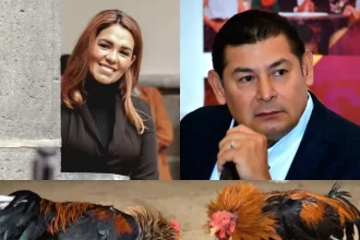 Armenta garantiza protección a Michelle Islas tras amenazas por prohibir peleas de gallos