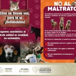 Así puedes denunciar el maltrato animal en Atlixco
