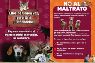 Así puedes denunciar el maltrato animal en Atlixco
