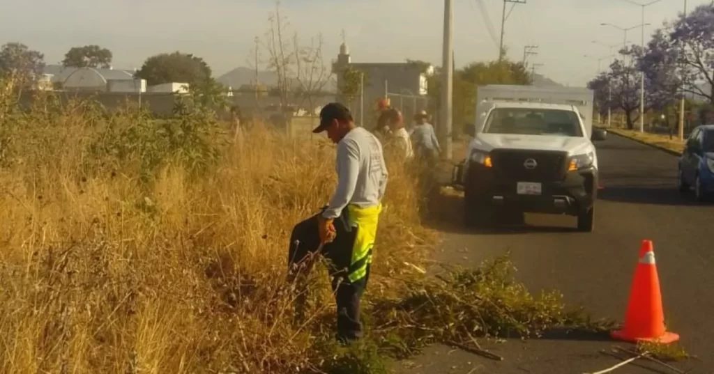 Atlixco sigue floreciendo: gobierno municipal transforma espacios públicos con esfuerzo diario