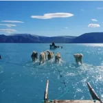 "El hielo se derritió bajo nuestros pies" Perros siberianos corriendo sobre el agua revela el rápido deshielo de Groenlandia