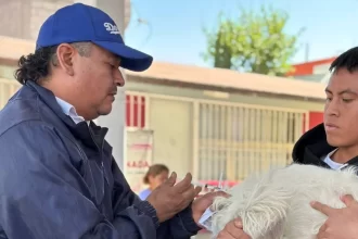 Beneficia Gobierno de la Ciudad a colonia Valle del Paraíso con Jornada de Protección Animal