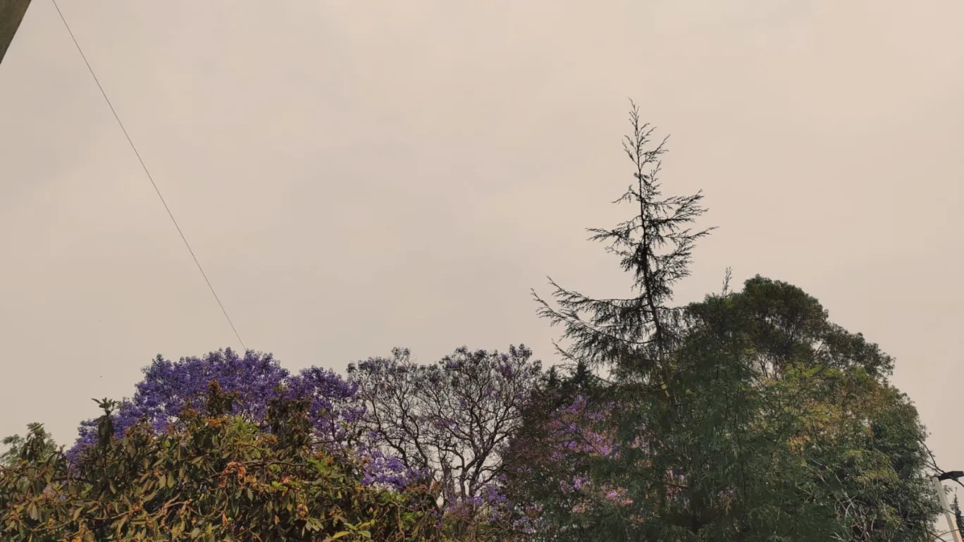 Cielo naranja en Puebla sorprende a habitantes: esto dicen las autoridades