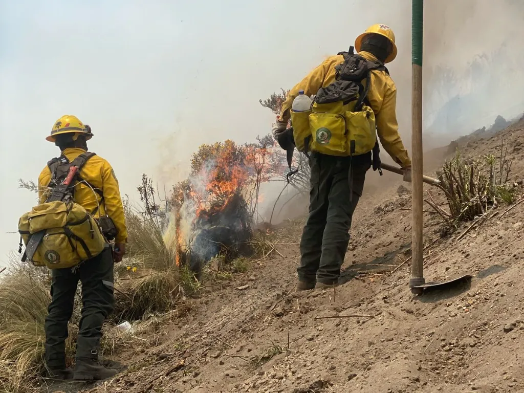 Continúa gobierno estatal trabajos de combate de incendios forestales (1)