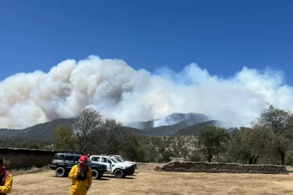Continúa gobierno estatal trabajos de combate de incendios forestales