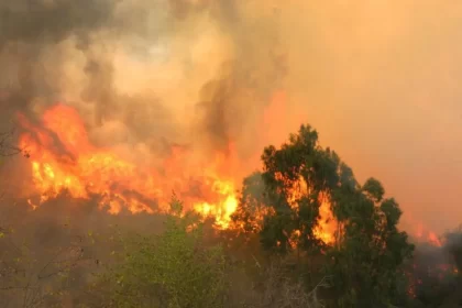 El incendio en Cerro Gordo ya fue controlado en un 80%, aún no está extinto