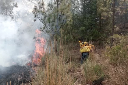 En una semana, Puebla suma 20 incendios forestales; Segob