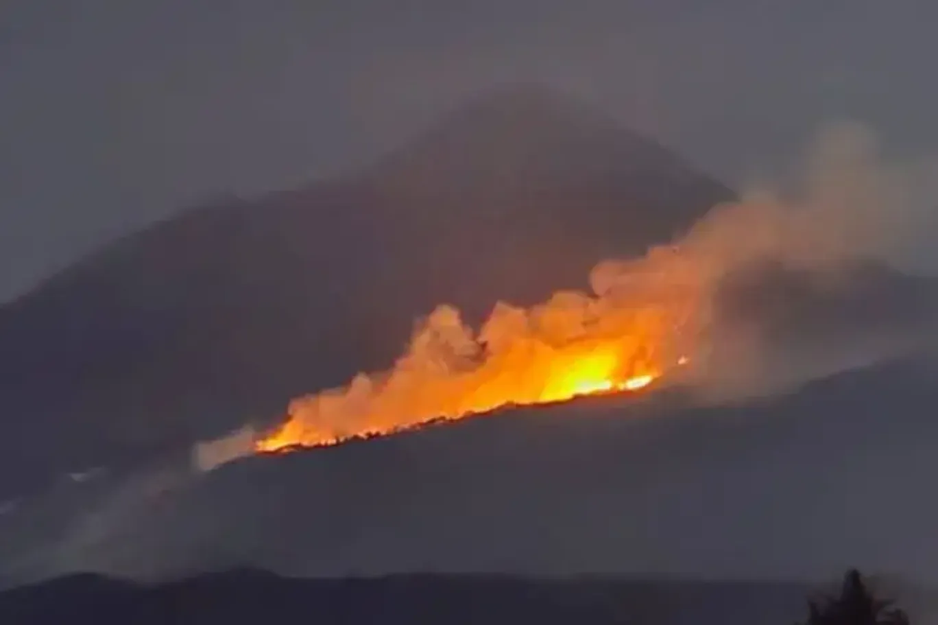 Incendios forestales persisten en el Citlaltépetl; brigadas mantienen operativo de control