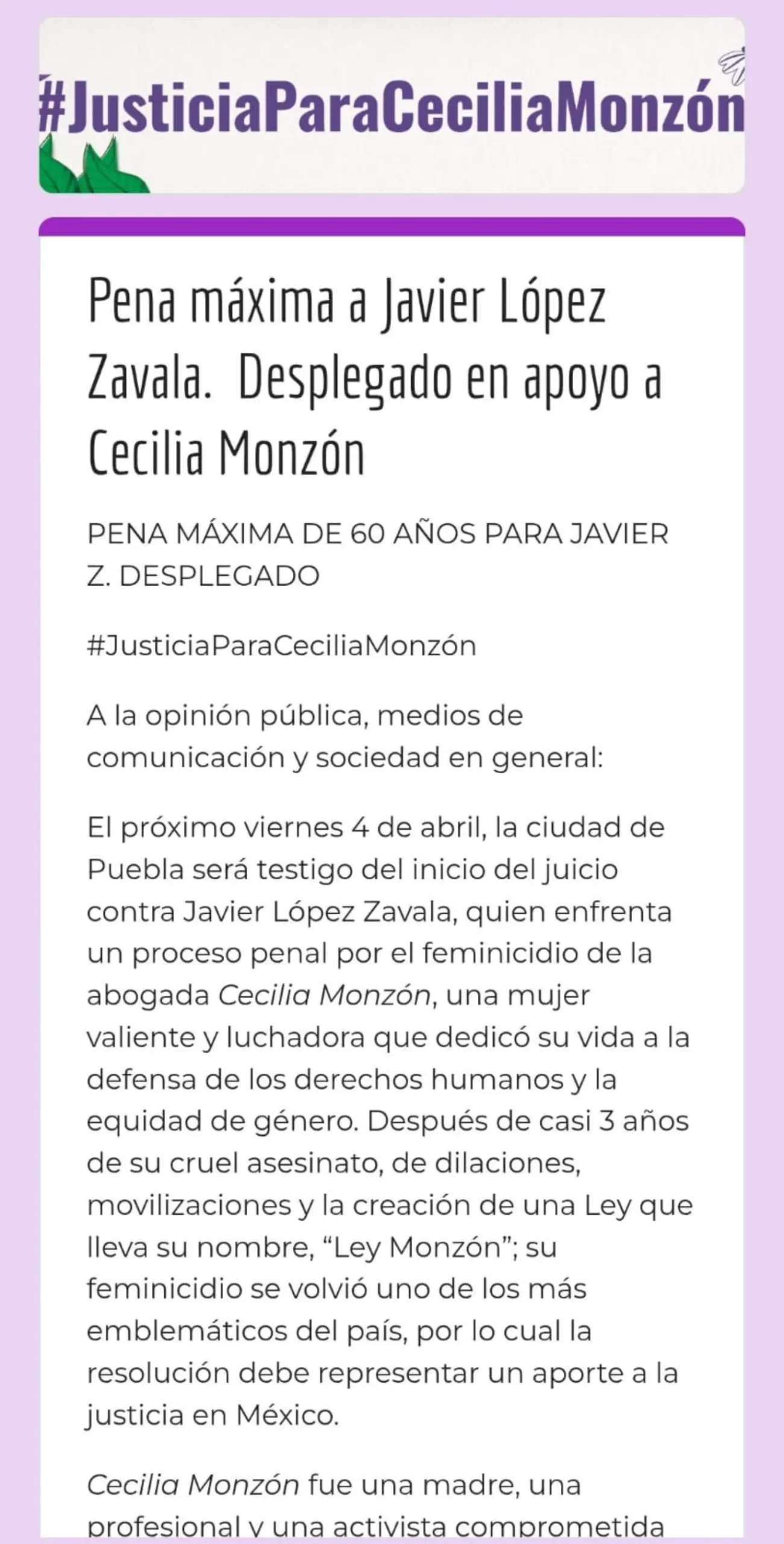 Justicia para Cecilia Monzón: Exigen pena máxima de 60 años para Javier López Zavala