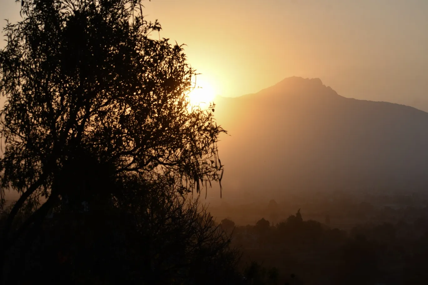 Malinche Verde: nace un ecoparque de 50 hectáreas al pie del volcán