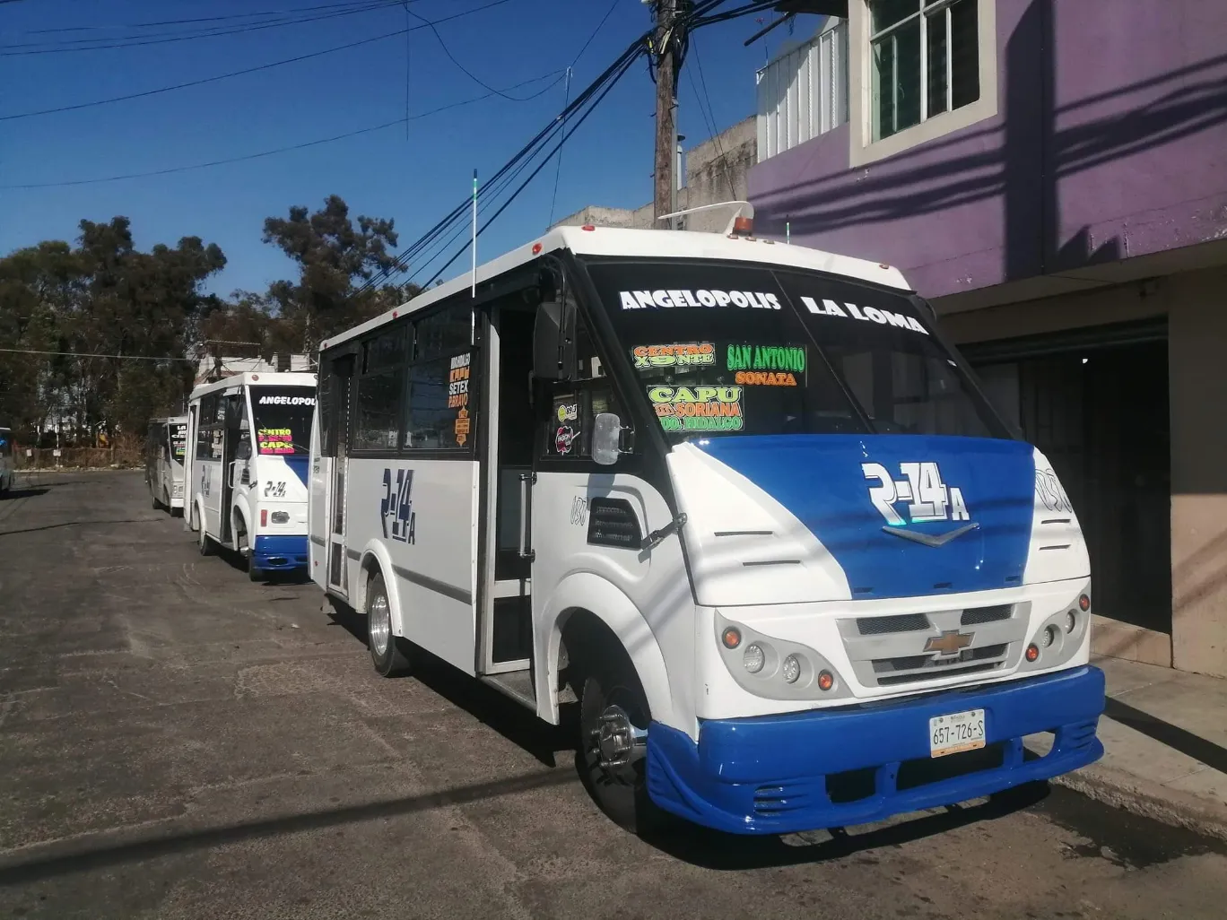 SMT Suspende revista vehicular al transporte público por incumplimiento de empresas