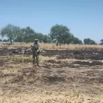 Sedena confirma desplome de aeronave en Jalisco; dos oficiales pierden la vida
