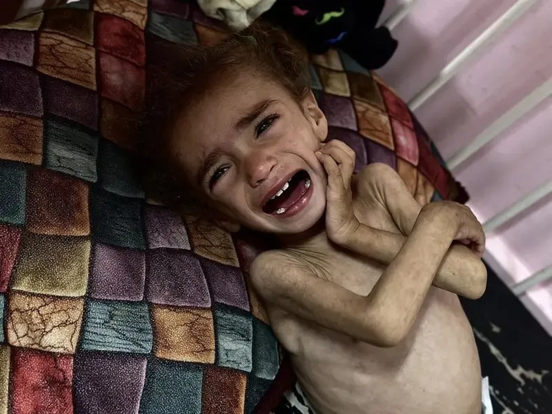 "14.000 bebés morirán en 48 horas": por qué la nueva operación que lanzó Israel en Gaza generó la más fuerte condena hasta ahora de sus aliados Reino Unido, Francia y Canadá