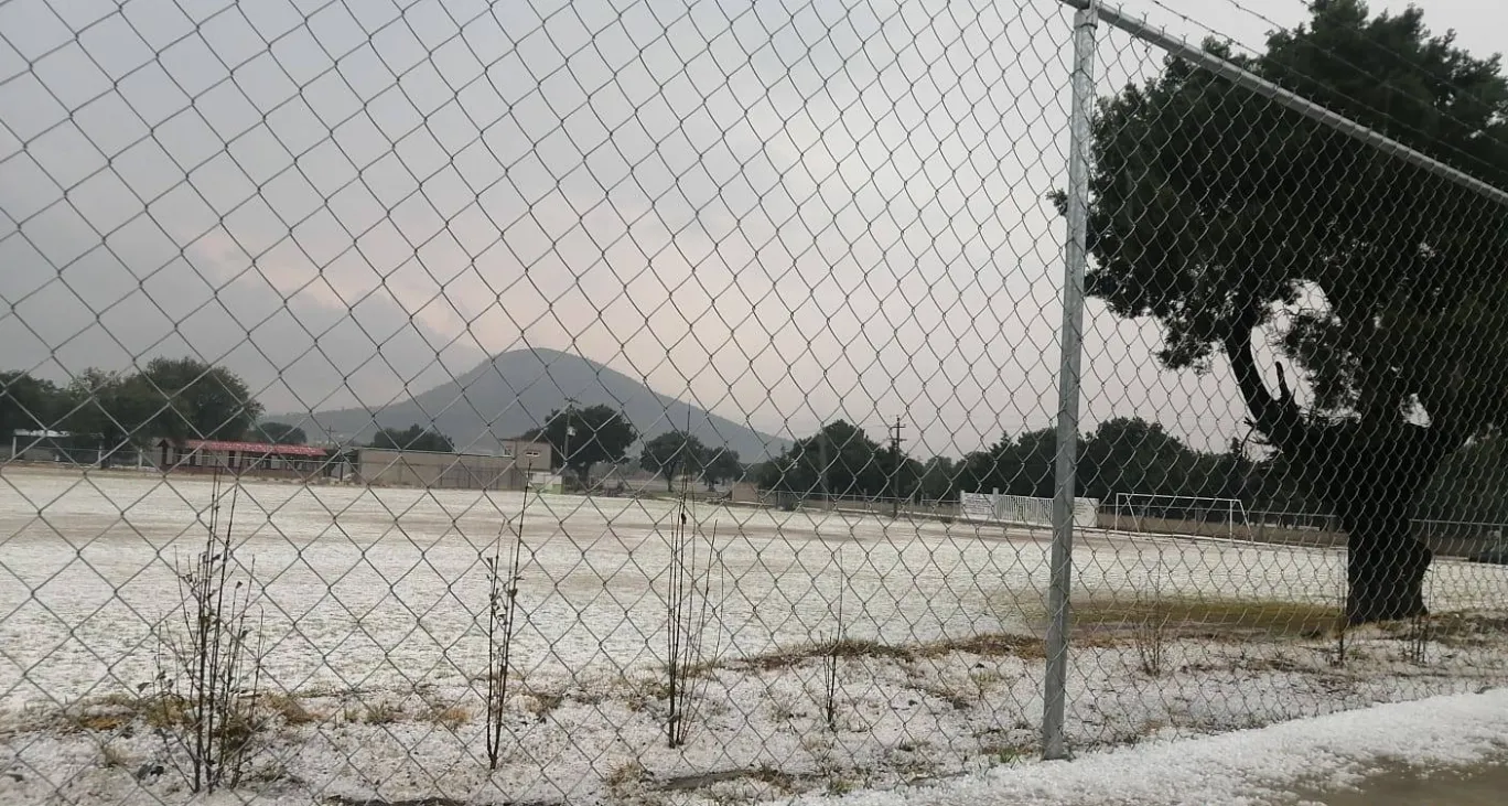 Pérdidas en el campo por granizada en la región centro-norte de Puebla