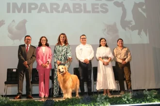 Por el bienestar animal el Gobierno de la Ciudad realizó el foro participativo "Patitas Imparables"
