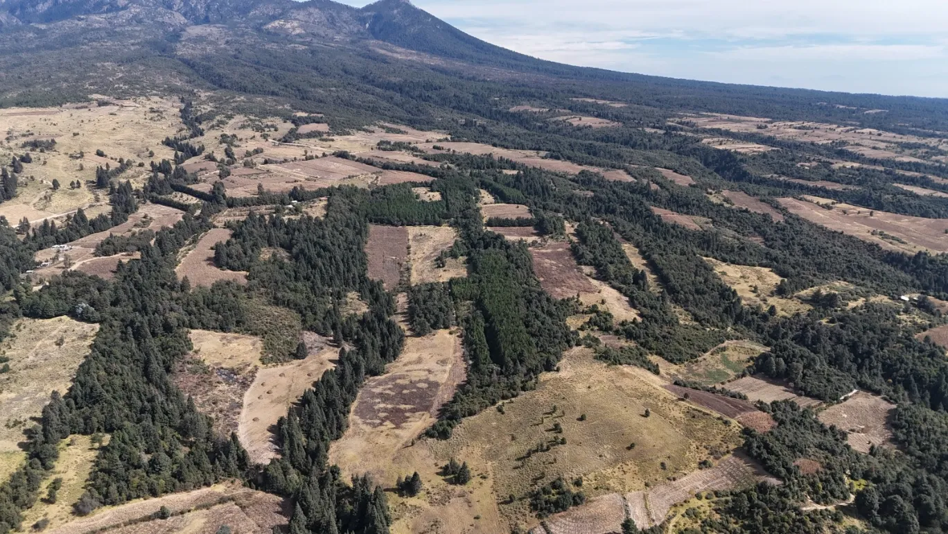 Aclara Gobierno Estatal que continúa en elaboración el proyecto ejecutivo del Ecoparque La Malintzi Aclara Gobierno Estatal que continúa en elaboración el proyecto ejecutivo del Ecoparque La Malintzi