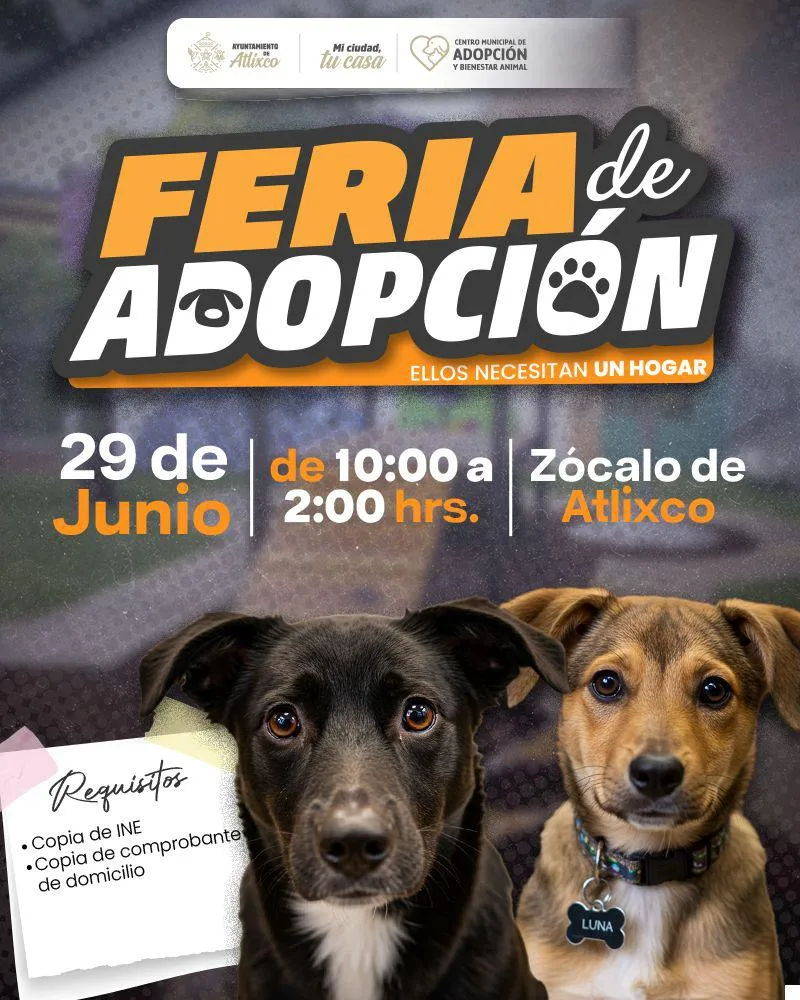 Amor Peludo en Atlixco; presidenta Ariadna Ayala invita a abrir tu corazón en la Feria de la Adopción Canina