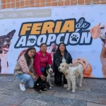Amor Peludo en Atlixco; presidenta Ariadna Ayala invita a abrir tu corazón en la Feria de la Adopción Canina