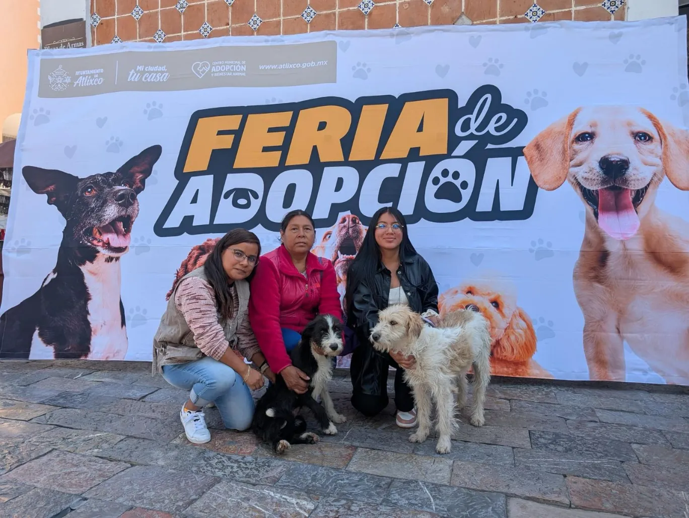Amor Peludo en Atlixco; presidenta Ariadna Ayala invita a abrir tu corazón en la Feria de la Adopción Canina