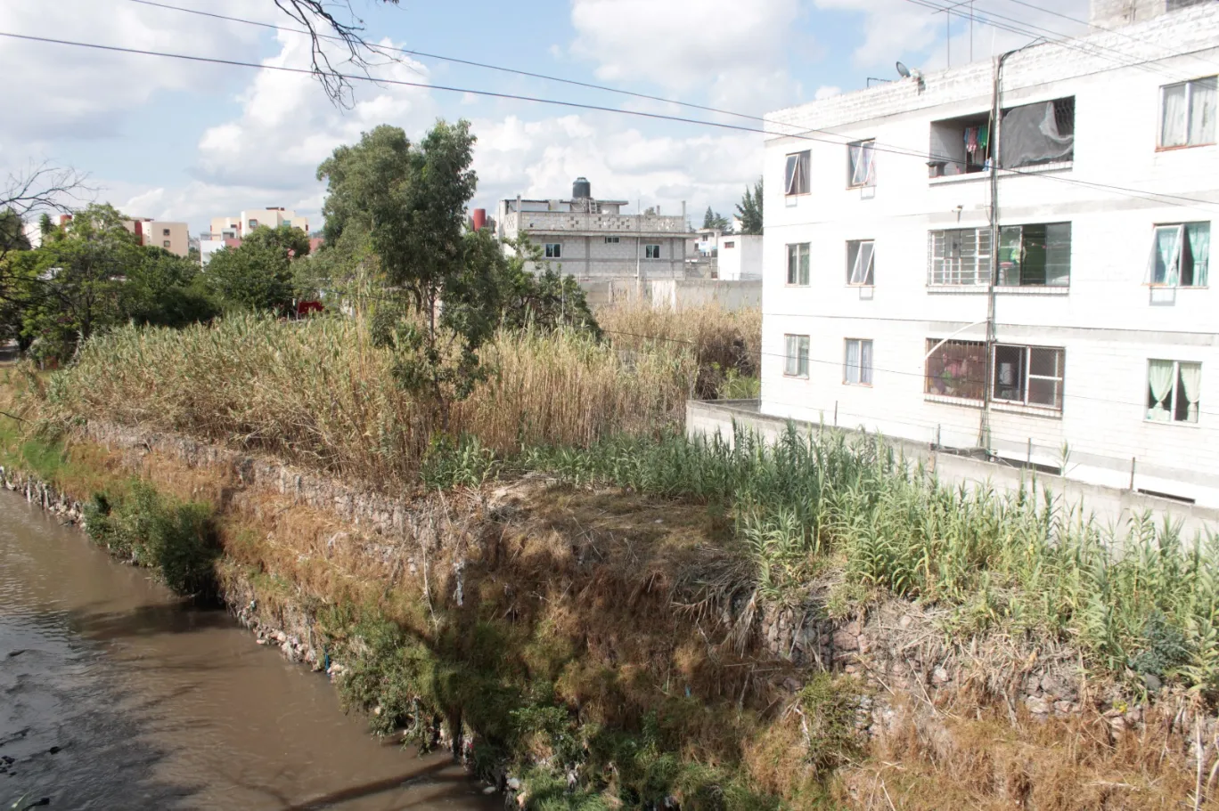 Ayto registra a 400 familias por riesgo de inundación en el río AlsesecaAyto registra a 400 familias por riesgo de inundación en el río Alseseca