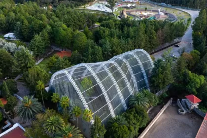 Flor del Bosque, espacio natural para las familias poblanas