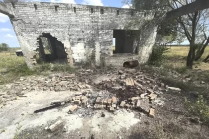 Hallazgo de restos calcinados en Tamaulipas revela sitio de desaparición masiva; participan colectivos y autoridades